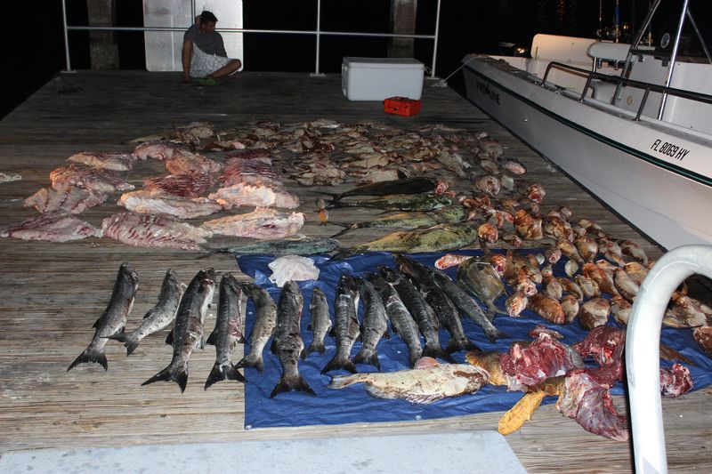 Exceeding the Bag and Possession Limit