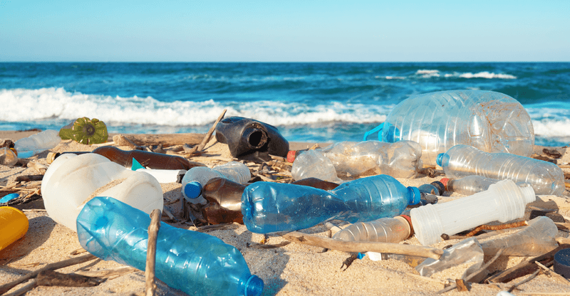 Beaches in Brevard / Cocoa Area