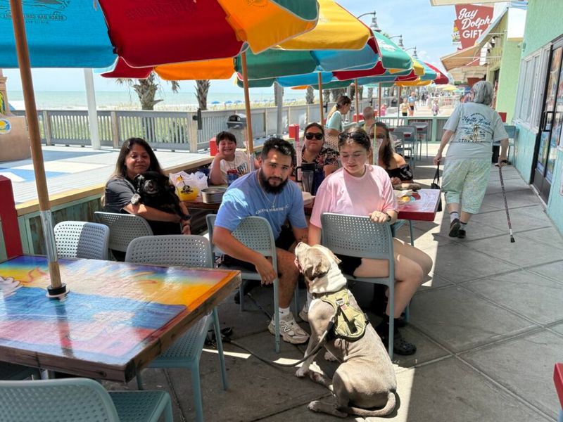 Dog-Friendly Patio