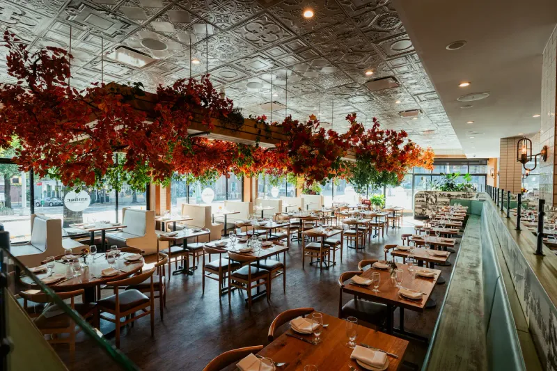Ambar Capitol Hill