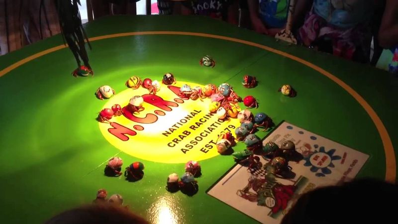 Crab Racing Competitions