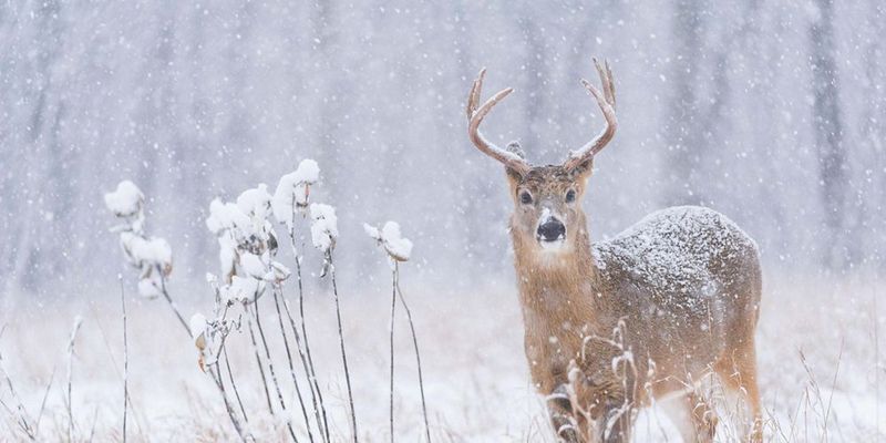 Early-Season Snow Possible Up North