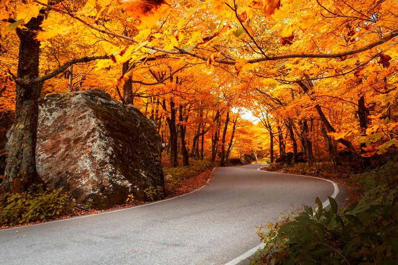 Groton State Forest