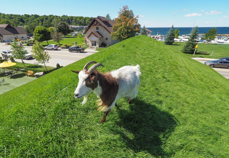 Sister Bay In Door County