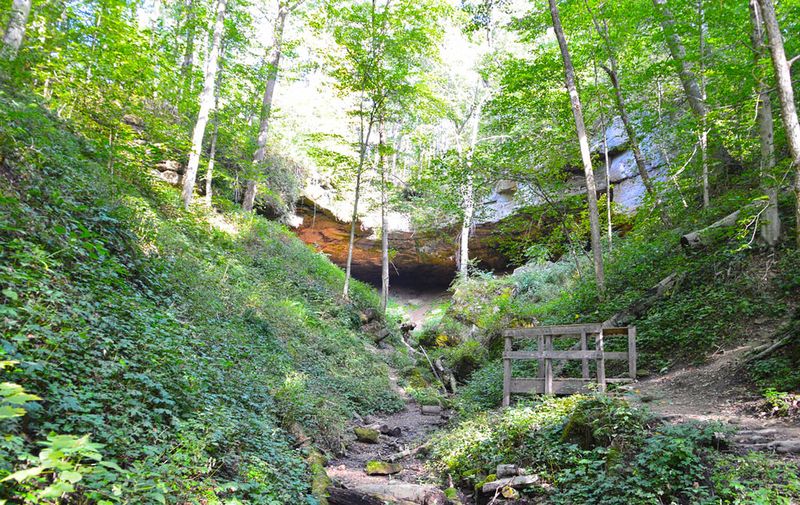 Salt Fork State Park (Guernsey County)