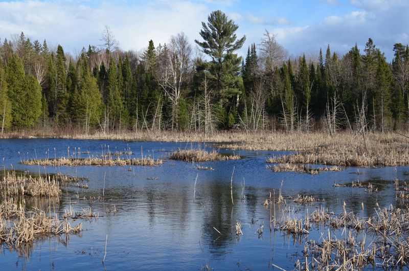 Inland Lake Culture Creates Michigan's Unique Summer Identity