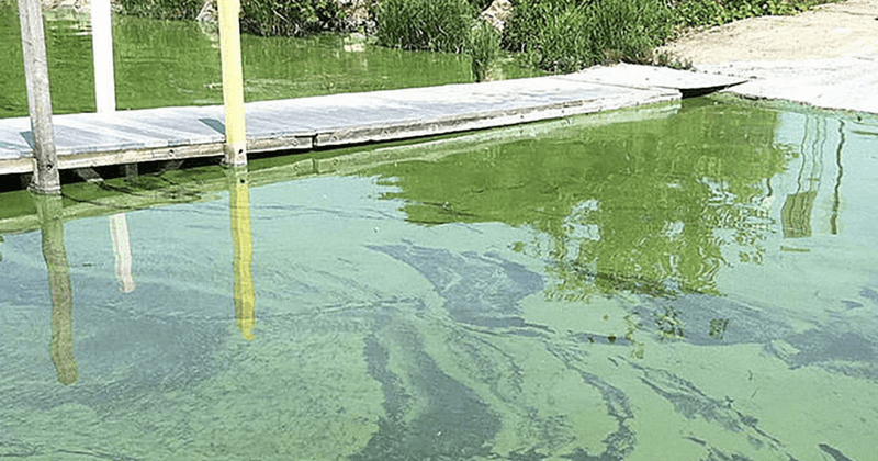 Moses Lake (Central Washington)