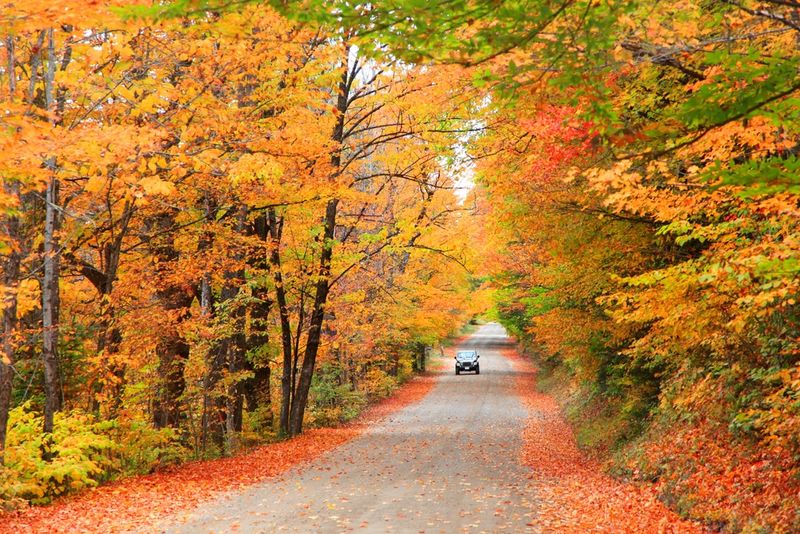 Fall Foliage Season Creates Stunning Natural Beauty