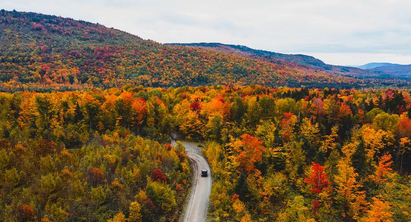 Great North Woods and Northern Tier