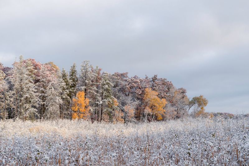Cooling Trend Arrives Mid-October