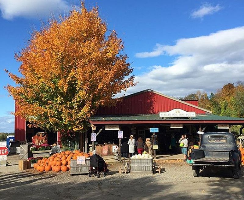 Visit a Classic New England Farm