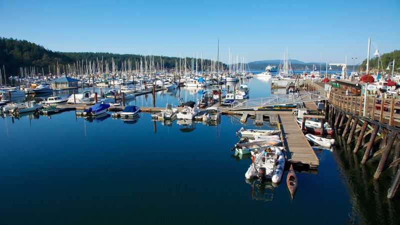 Friday Harbor (San Juan Islands)