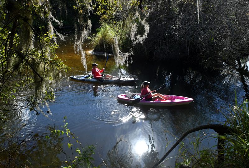 Palm Bay – Kayaking Routes and Natural Sanctuaries