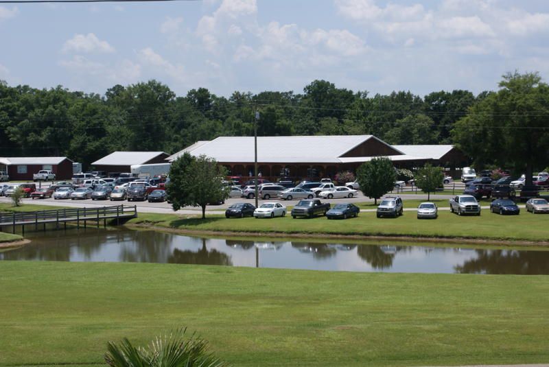 Sunday Vibes and the Art of Slowing Down