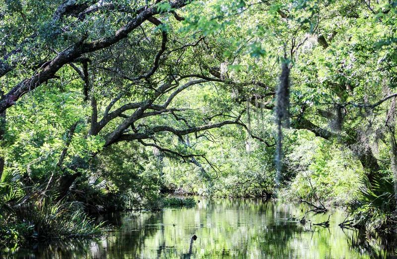 Why Its Silence Still Feels Alive