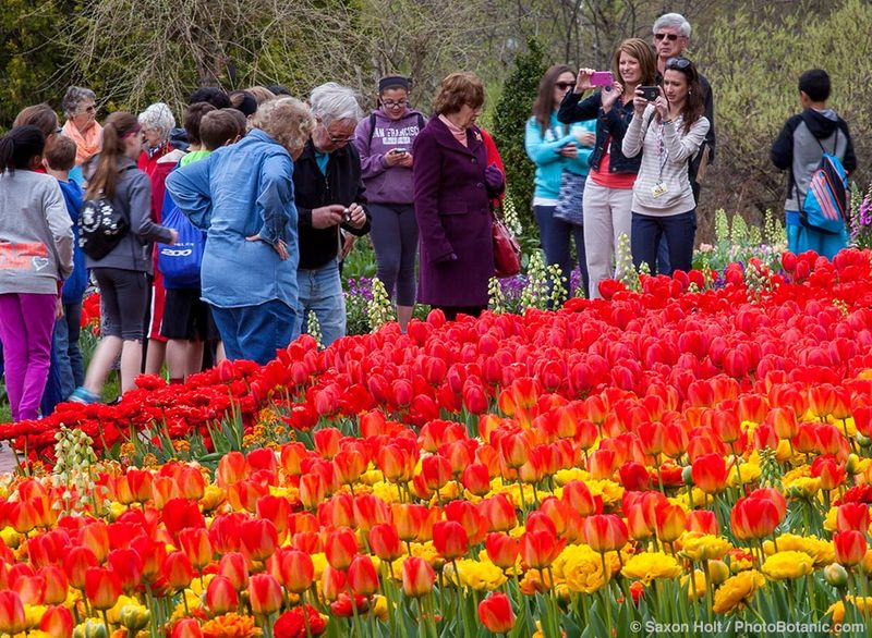 Longwood Gardens