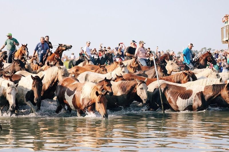 Unique Local Events You Never Heard Of