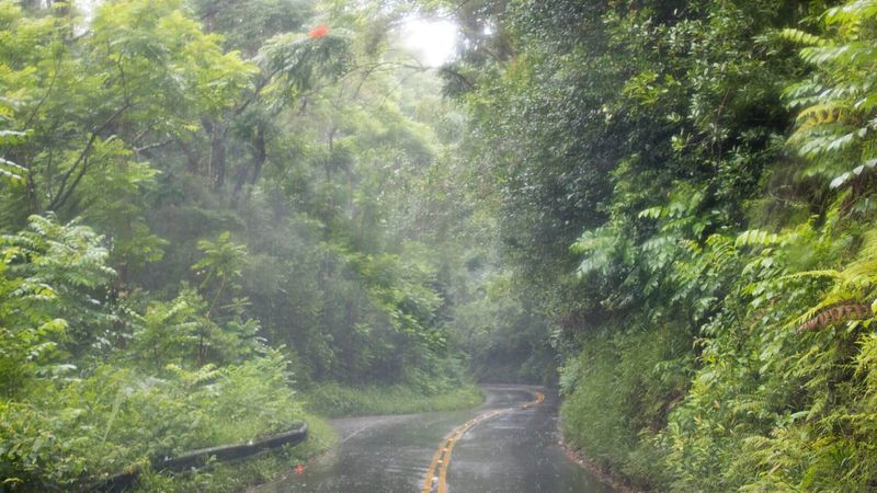 The Reality of Rainy Season