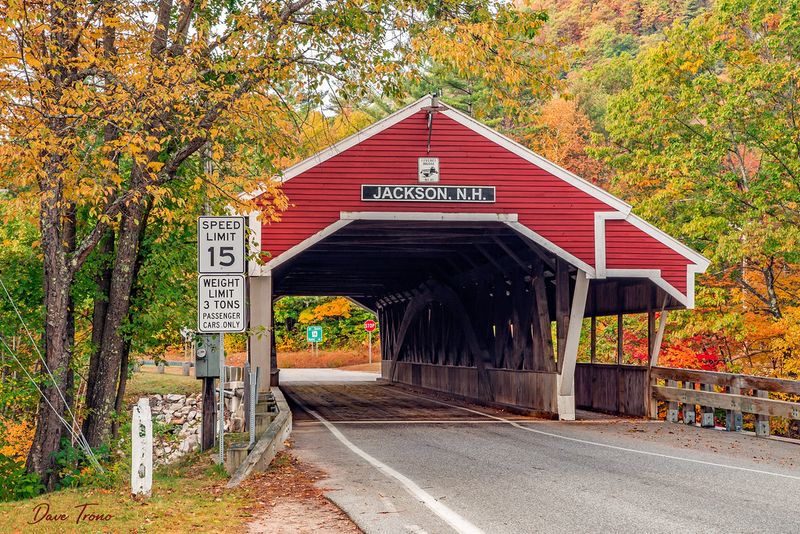 Jackson’s Struggle to Stay Peaceful