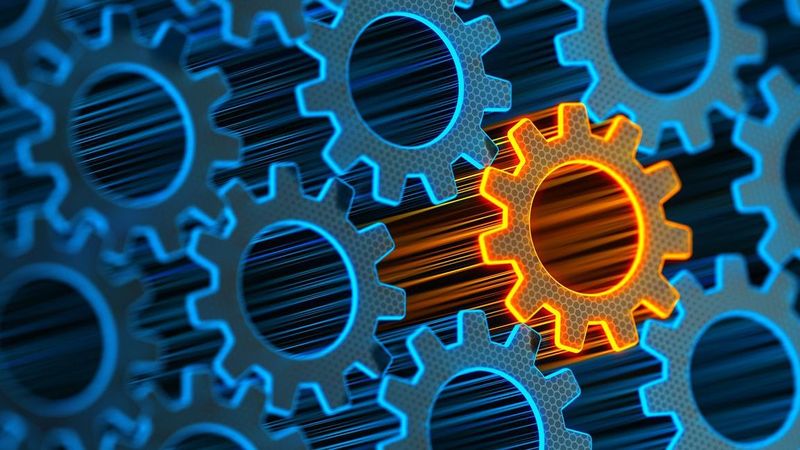 Insurance, Liability, and Safety Standards