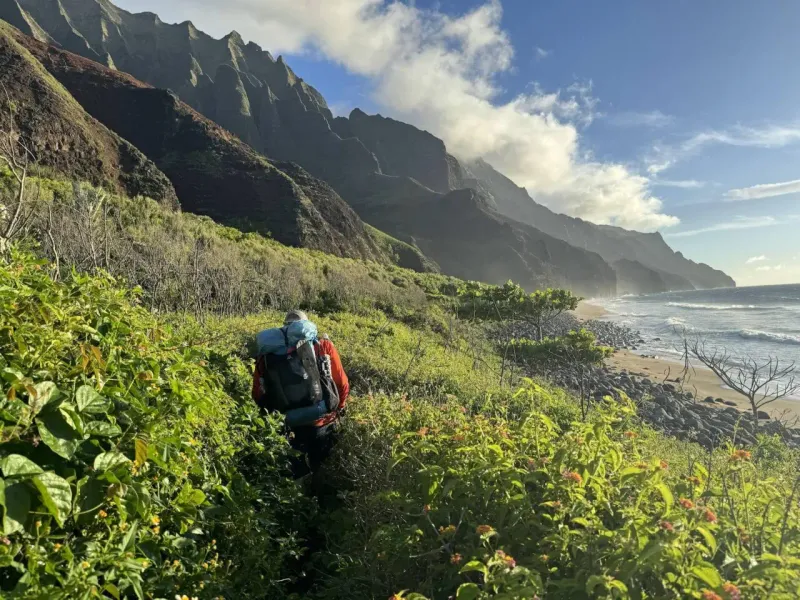 Hiking Trails And Natural Areas Degraded