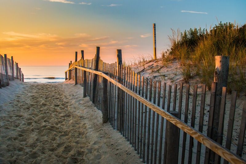 What Visitors Can Do for a Better Experience