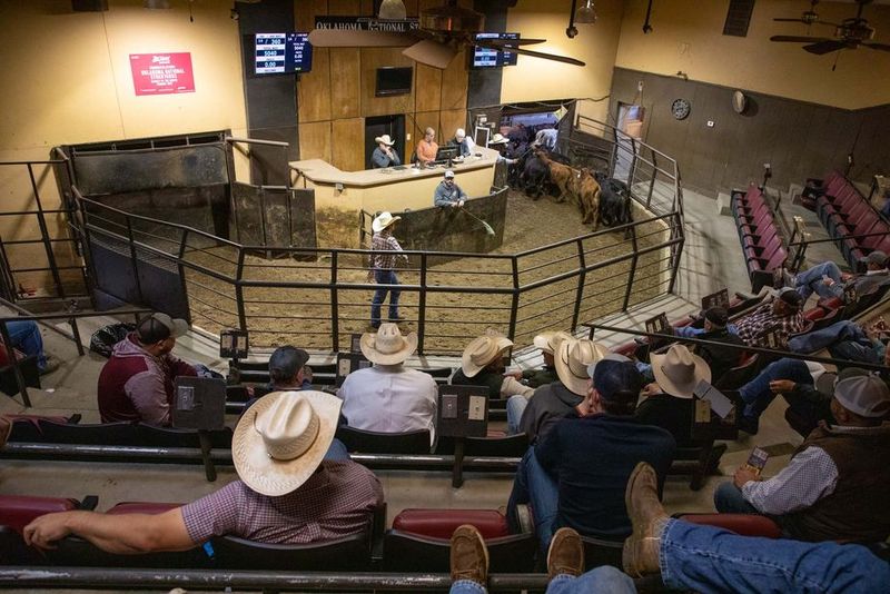 The Cowboy Culture Is Accessible And Affordable