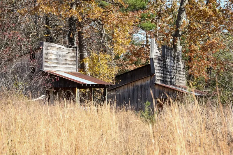How Nature Took Back the Midway