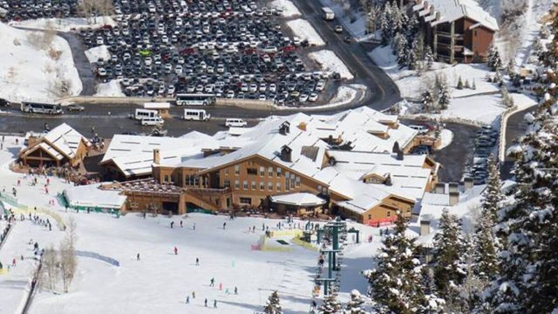 Failed Revival Attempts