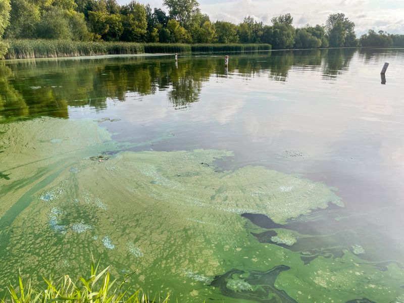 Nature Feeling the Strain