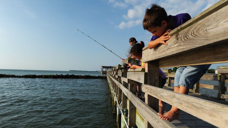 A pier that anchors the evening