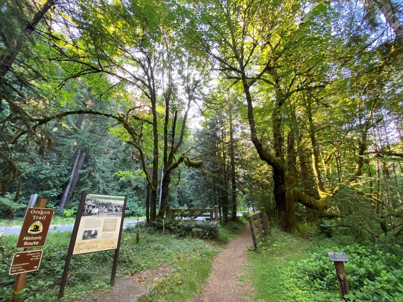 The Shifting Fog of Barlow Road
