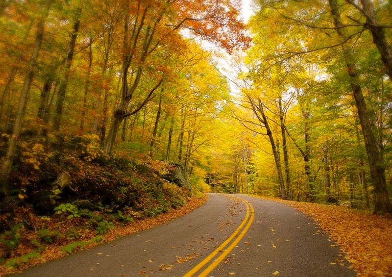 A Road Trip Worth the Detour
