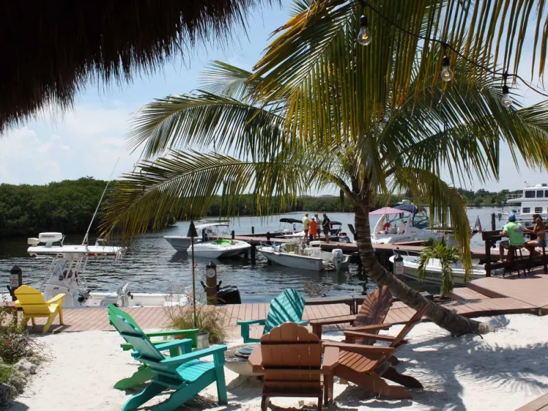 First Impressions: Tropical and Laid Back