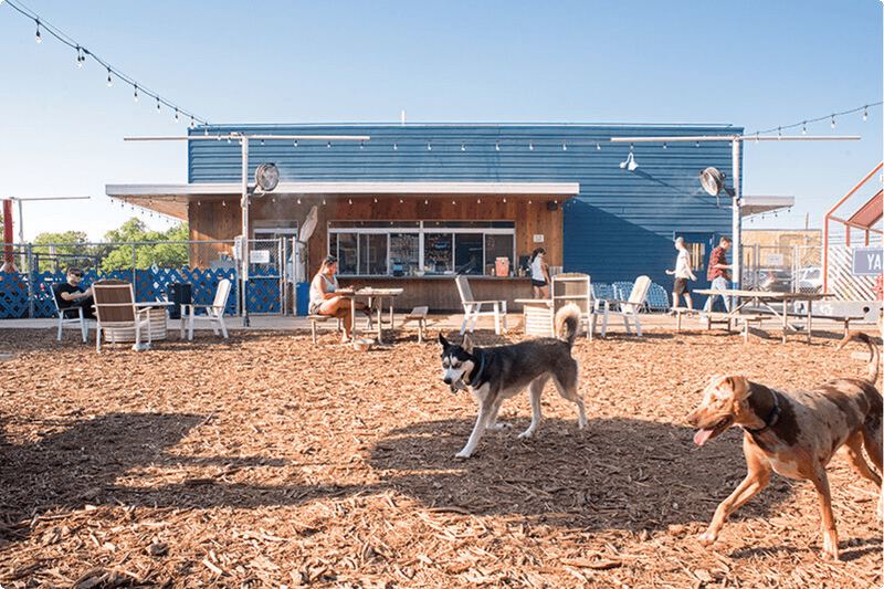 Dog-Friendly Atmosphere