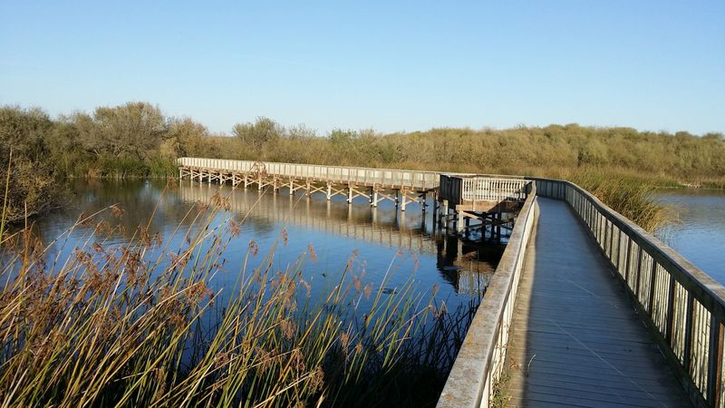 Exploring Oso Flaco Lake