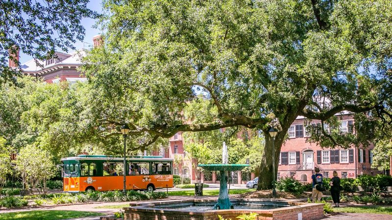 Crowding and Traffic Congestion