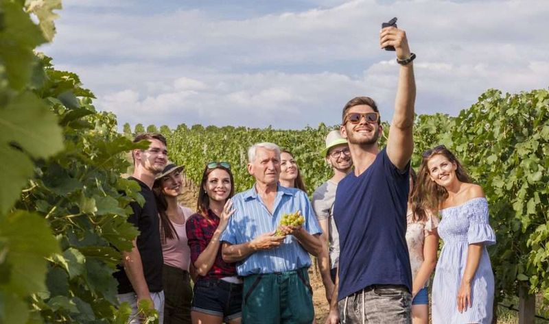 The Wine Tourist Dominance