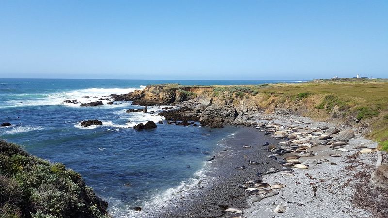 Piedras Blancas Beach, San Simeon