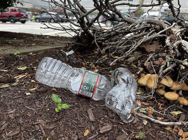 Littering and Carry In/Carry Out