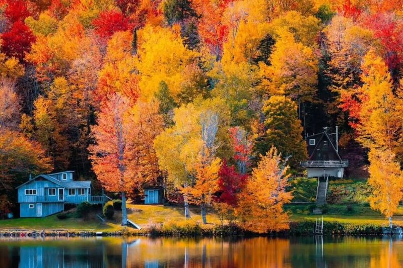 Lake Elmore