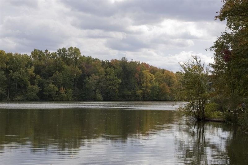 Lums Pond State Park