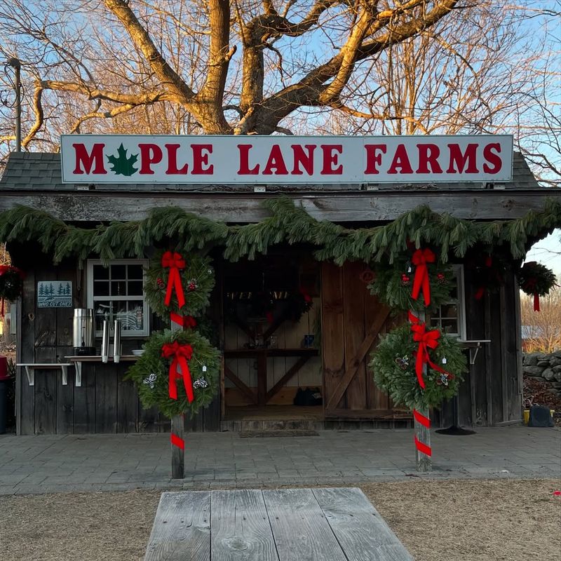 Maple Lane Farms LLC