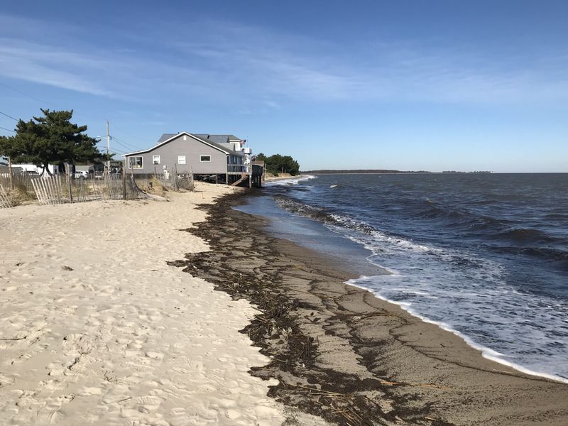 Shrimp, Sand, and Seaside Surprises: What’s Near JP’s on the Wharf