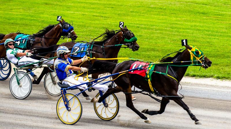 Batavia - Harness Racing And Holland Land Office