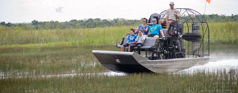 Everglades Ecosystem Facing Tourist Pressure