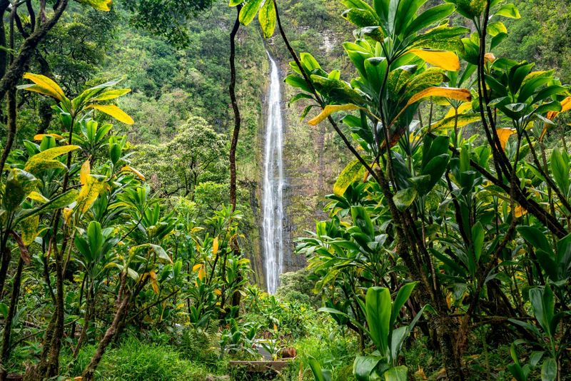Waimoku Falls, Maui