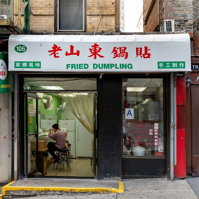 Fried Dumpling – The $5 Meal Everyone Loves (Chinatown)