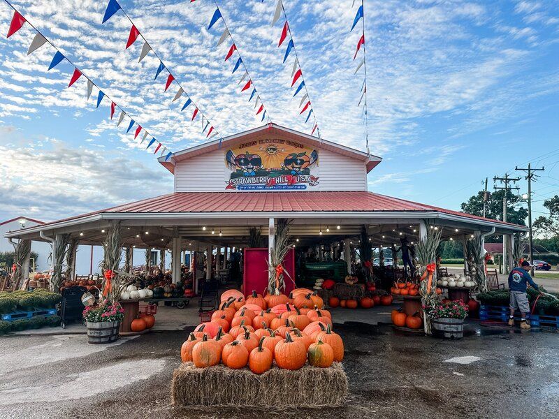 Fall Festival Atmosphere With Hayrides And Pumpkins