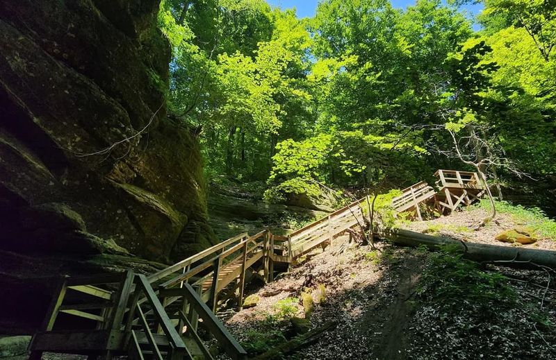 Mohican State Forest And Park (Ashland County)